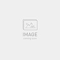 2025  levo sl pro carbon ul bike orgtnt/clgry/cop s3