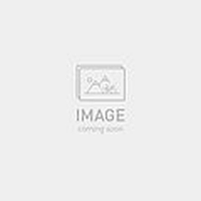 2025 SPECIALIZED LEVO SL PRO CARBON UL BIKE - S1, ORGTNT/CLGRY/COP