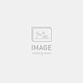 2025 SPECIALIZED LEVO SL PRO CARBON UL BIKE - S3, ORGTNT/CLGRY/COP