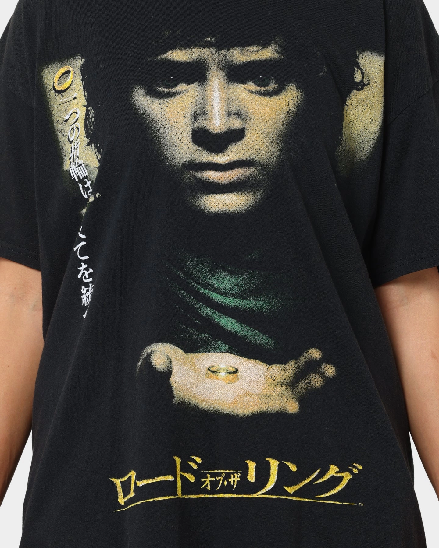 American Thrift X Lord Of The Rings Fellowship T-Shirt Washed Black