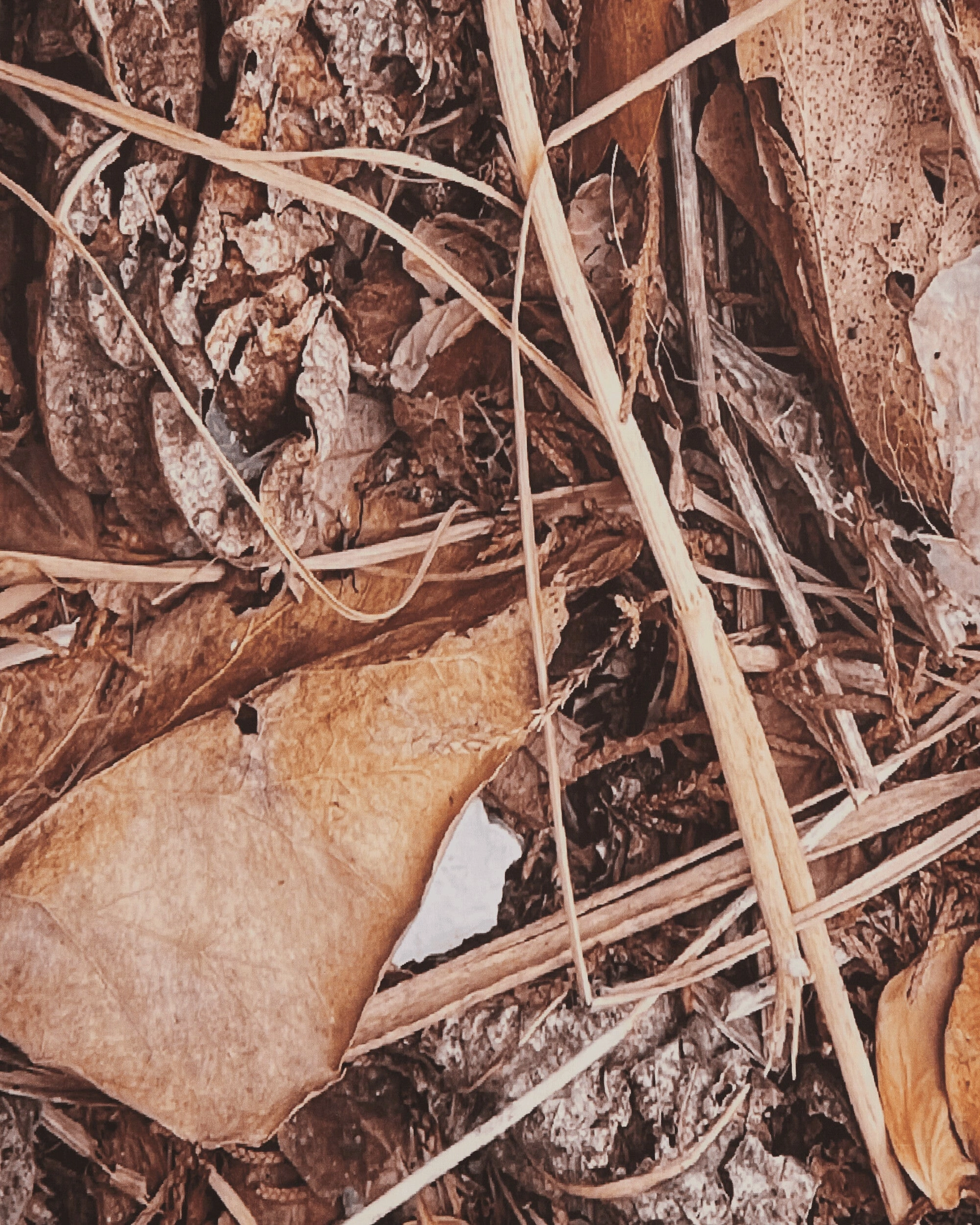 Dirt Bedsheet Multicolor